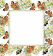Watercolor flower frame on white background N43
