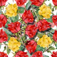 Floral colorful roses flowers pattern on white background