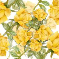 Floral colorful roses flowers pattern on white background N2