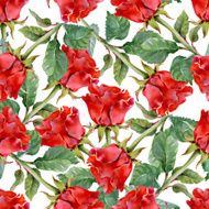 Floral colorful roses flowers pattern on white background N4