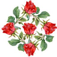 Floral colorful roses flowers pattern on white background N5