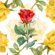 Floral colorful roses flowers pattern on white background N6