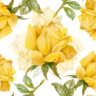 Floral colorful roses flowers pattern on white background N7
