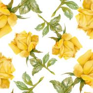 Floral colorful roses flowers pattern on white background N8