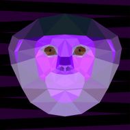 Abstract bright purple colored polygonal geometric red-shanked douc langur portrait