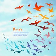 Colorful silhouettes of flying birds