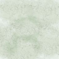 Grunge abstract background N1260
