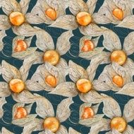 Watercolor Pattern with Physalis