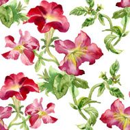 Colorful garden flowers Seamless pattern on white background N7