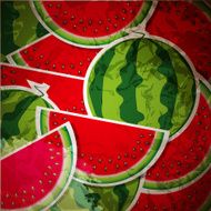 Background from Watermelon Vector Illustration N3