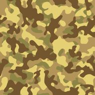 Desert Camouflage Seamless Pattern N2