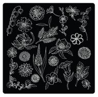 vector illustration silhouettes of different plants and flowers N2