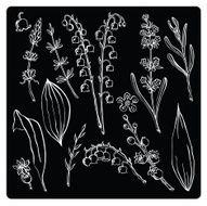 vector illustration silhouettes of different plants and flowers N4