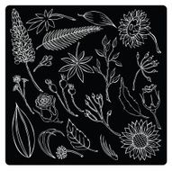 vector illustration silhouettes of different plants and flowers N5