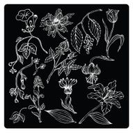 vector illustration silhouettes of different plants and flowers N6