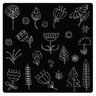 vector illustration silhouettes of different plants and flowers N7
