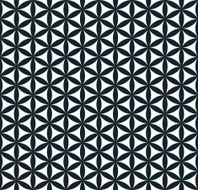 monochrome hexagonal floral pattern