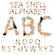 Alphabet made of different sea shells N2