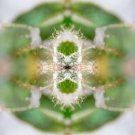 Green abstract background N21