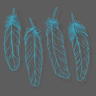 Hand drawn feathers set on dark background