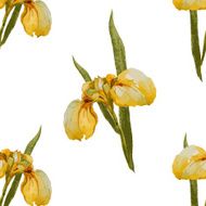 Iris flowers pattern
