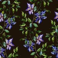 Clematis flower pattern