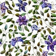 Clematis flower pattern N2