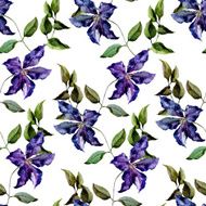 Clematis flower pattern N4