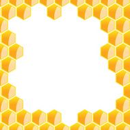 hexagonal frame