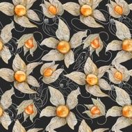 Watercolor Pattern with Physalis N2
