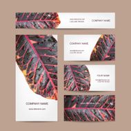 Business cards design leaf texture