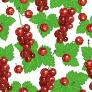 Red currant pattern seamless