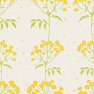 Tansy flowers pattern N4
