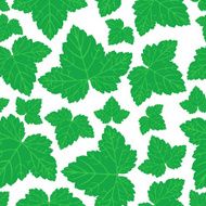 Currant leaves pattern seamless