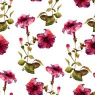 Petunia flower pattern N4