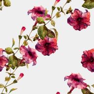 Petunia flower pattern N5