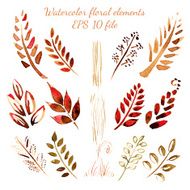 Watercolor flowers and leaves elements
