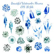 Watercolor flowers and leaves elements N2