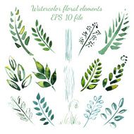 Watercolor flowers and leaves elements N3
