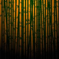 Bamboo N14