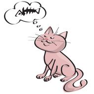 Kitten N18