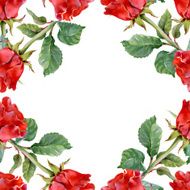 Floral colorful roses flowers pattern on white background N10
