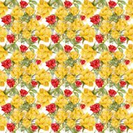 Floral colorful roses flowers pattern on white background N11