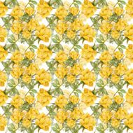 Floral colorful roses flowers pattern on white background N12