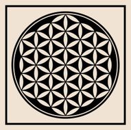 Flower Of Life Symbol N2