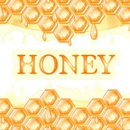 honey honeycomb N3