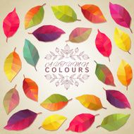 Autumn leaves Vector illustration N4