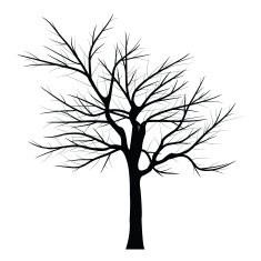 Trees with dead branch N81