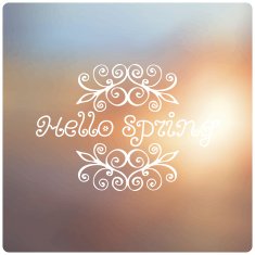 Spring quotes on unfocused colorful background Vector illustration N3