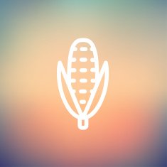 Corn thin line icon N2